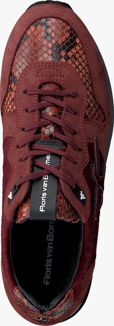 Rote FLORIS VAN BOMMEL Sneaker low 85256 - large