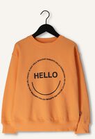 Orangene MOLO Pullover MEMPHIS UNISEX Orangene MOLO Pullover MEMPHIS UNISEX - medium