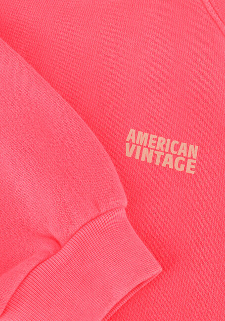 Rosane AMERICAN VINTAGE Pullover IZUBIRD - large