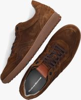 Cognacfarbene FLORIS VAN BOMMEL Sneaker low SFM-10160 - medium