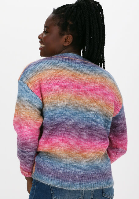 Mehrfarbige/Bunte SUNCOO Pullover PULL POLYDOR - large