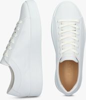 Weiße BLACKSTONE Sneaker low MAYNARD - medium