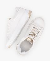 Weiße PS POELMAN Sneaker low BUCKLEY - medium