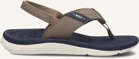 Taupe REEF Zehentrenner SANTA ANA KIDS Taupe REEF Zehentrenner SANTA ANA KIDS - medium