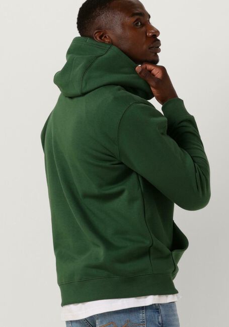 Dunkelgrün TOMMY JEANS Sweatshirt REGULAR FLEECE HOODIE - large