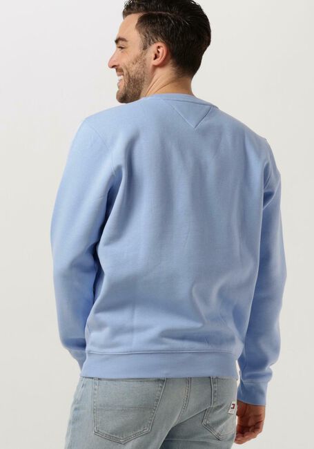 Blaue TOMMY JEANS Pullover TJM REGULAR FLEECE C NECK - large