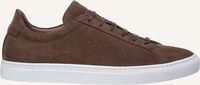 Braune VAN BOMMEL Sneaker Low SBM-10023 Braune VAN BOMMEL Sneaker Low SBM-10023 - medium