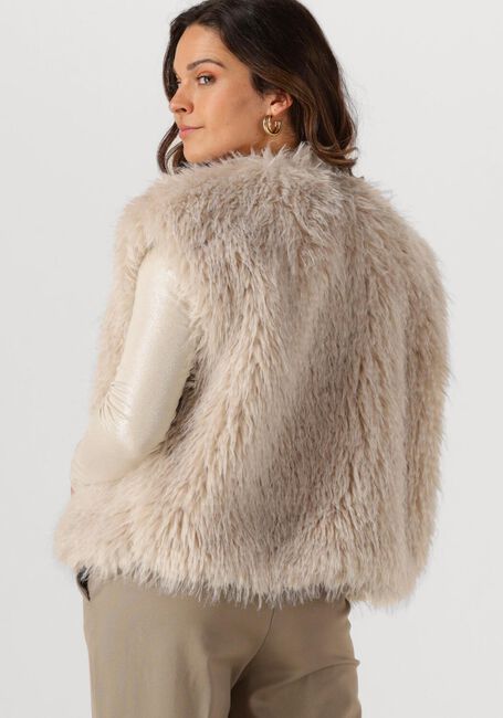 Beige BEAUMONT Gilet SOFIE GILET - large