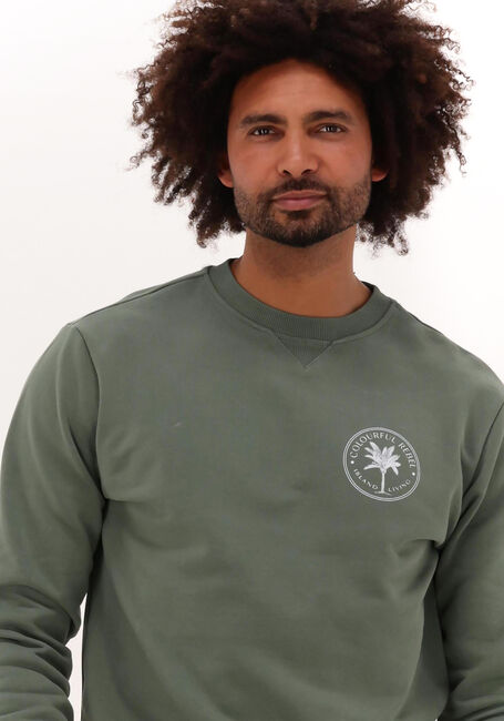 Grüne COLOURFUL REBEL Sweatshirt ISLAND LIVING SMALL CHEST WASHED BASIC SWEAT - large