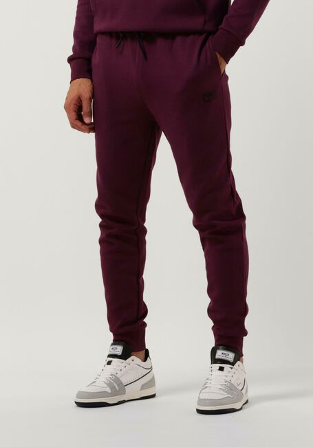 Bordeaux CRUYFF Jogginghose JOAQUIM PANT - large