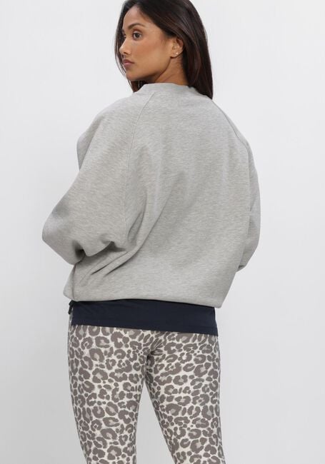 Graue DEBLON SPORTS Sweatshirt VIVE SWEATER - large