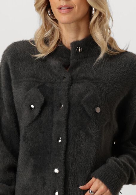 Graue JANSEN AMSTERDAM Strickjacke P263 VEST BENJA - large