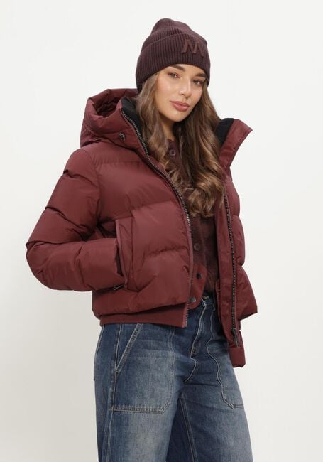 Bordeaux MOSCOW Wattierte Jack 22A-08-FUSSY - large