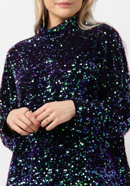 Mehrfarbige/Bunte GOOSECRAFT Pullover GC FLAPPER TOP - large