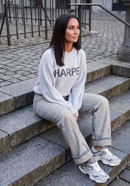 Hellgrau HARPER & YVE Pullover LYSANNE-JU - large