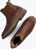 Braune PANAMA JACK Chelsea Boots GARNOCK IGLOO C12 - medium