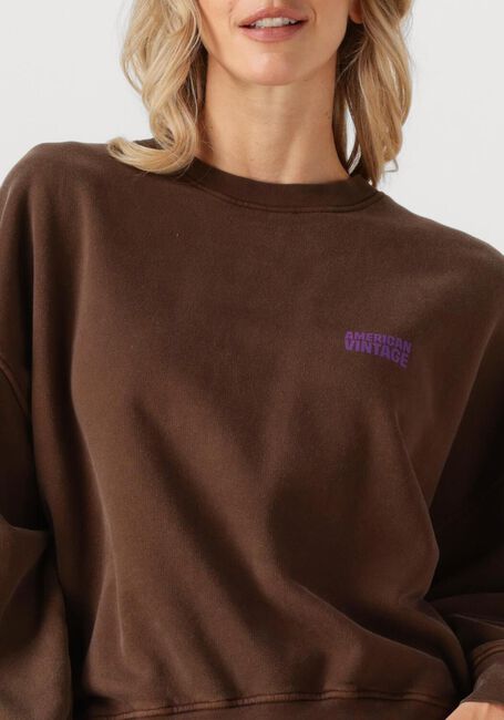 Braune AMERICAN VINTAGE Pullover PLIZZY - large