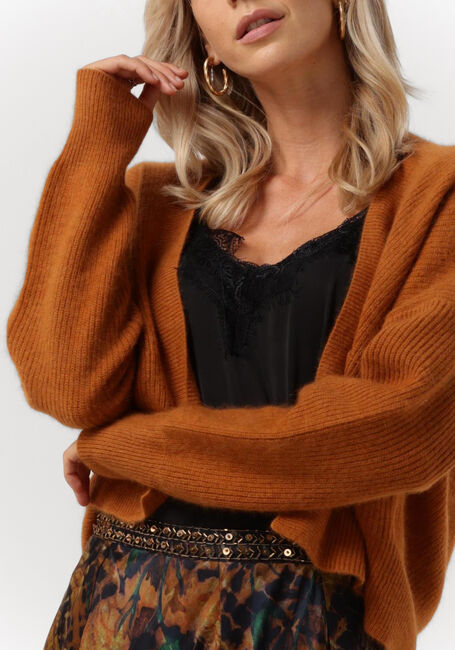 Braune MES DEMOISELLES Strickjacke CARI - large