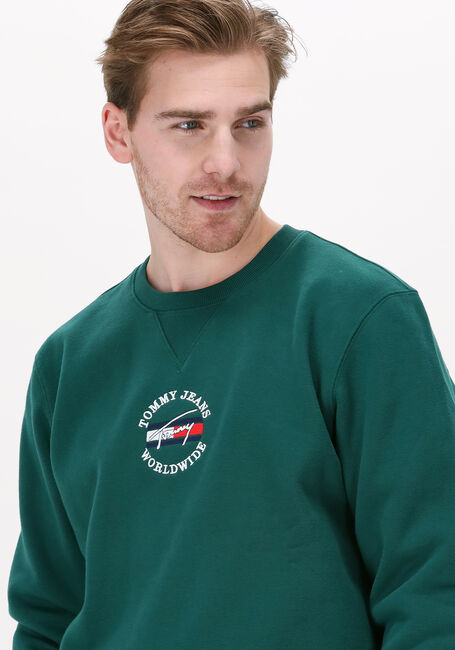 Grüne TOMMY JEANS Sweatshirt TJM TIMELESS TOMMY 2 CREW - large