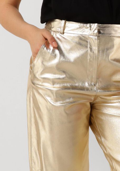Goldfarbene IBANA Hose PERFECTA METALLIC - large