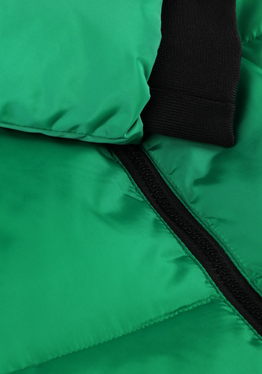 Gr&uuml;ne CARS JEANS Wattierte Jack MALTI - large