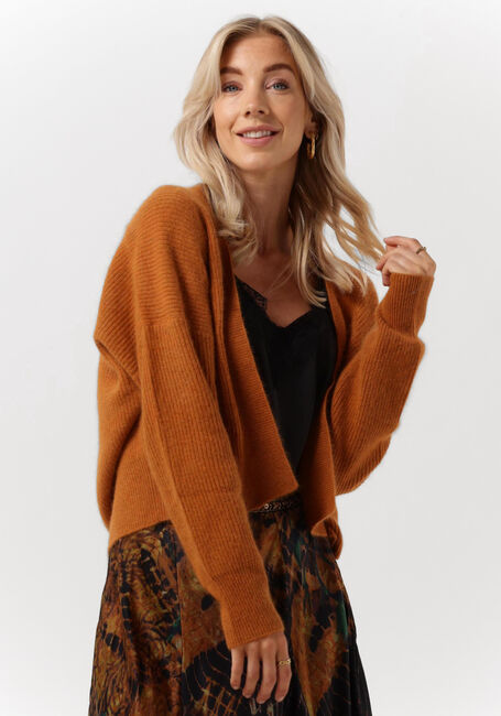 Braune MES DEMOISELLES Strickjacke CARI - large