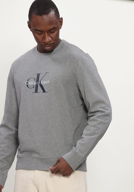 Graue CALVIN KLEIN Sweatshirt LS 350TERRY MNLG CN SWTSHRT - large