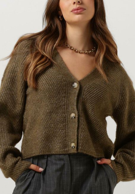 Grüne MSCH COPENHAGEN Strickjacke MSCHPETUNIA PEGGY CARDIGAN - large