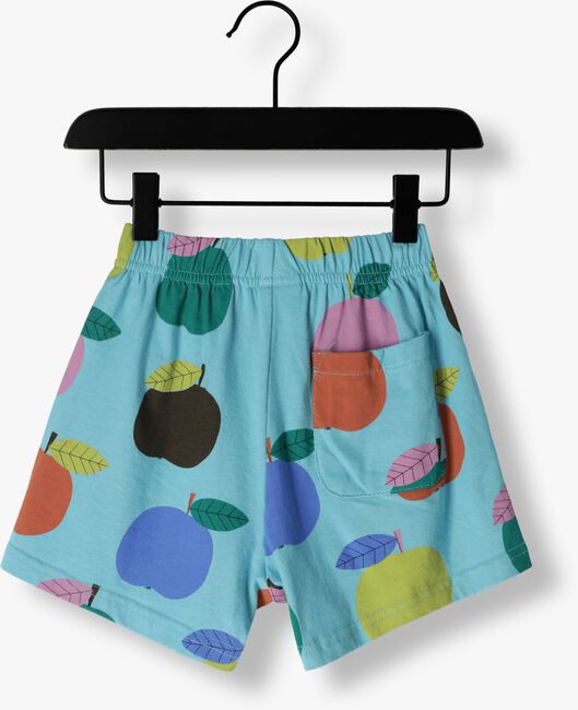 Blaue Jelly Mallow  COLOURFUL APPLE SHORT PANTS - large