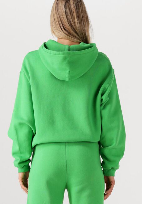 Grüne AMERICAN VINTAGE Pullover IZUBIRD - large