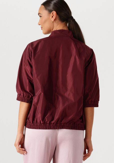 Bordeaux AMAYA AMSTERDAM Jack STORM - large