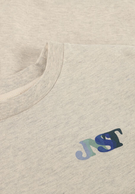 Hellgrau JENEST T-shirt MASE T-SHIRT - large