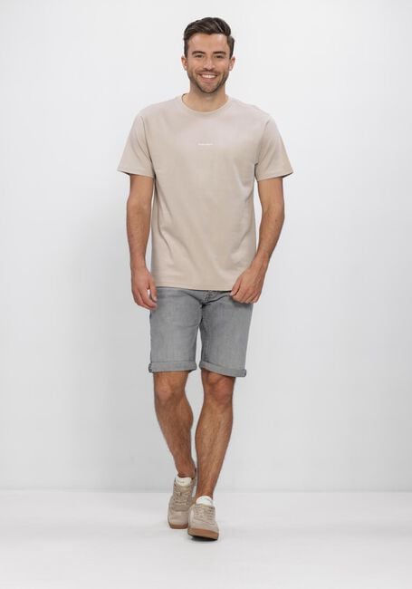 Graue PURE PATH Kurze Hosen THE MILES SLIM FIT SHORT - large