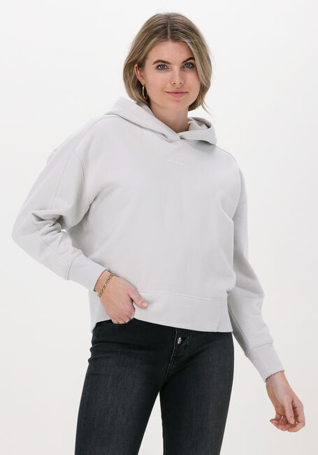 Hellgrau CALVIN KLEIN Pullover MICRO BRANDING HOODIE - large