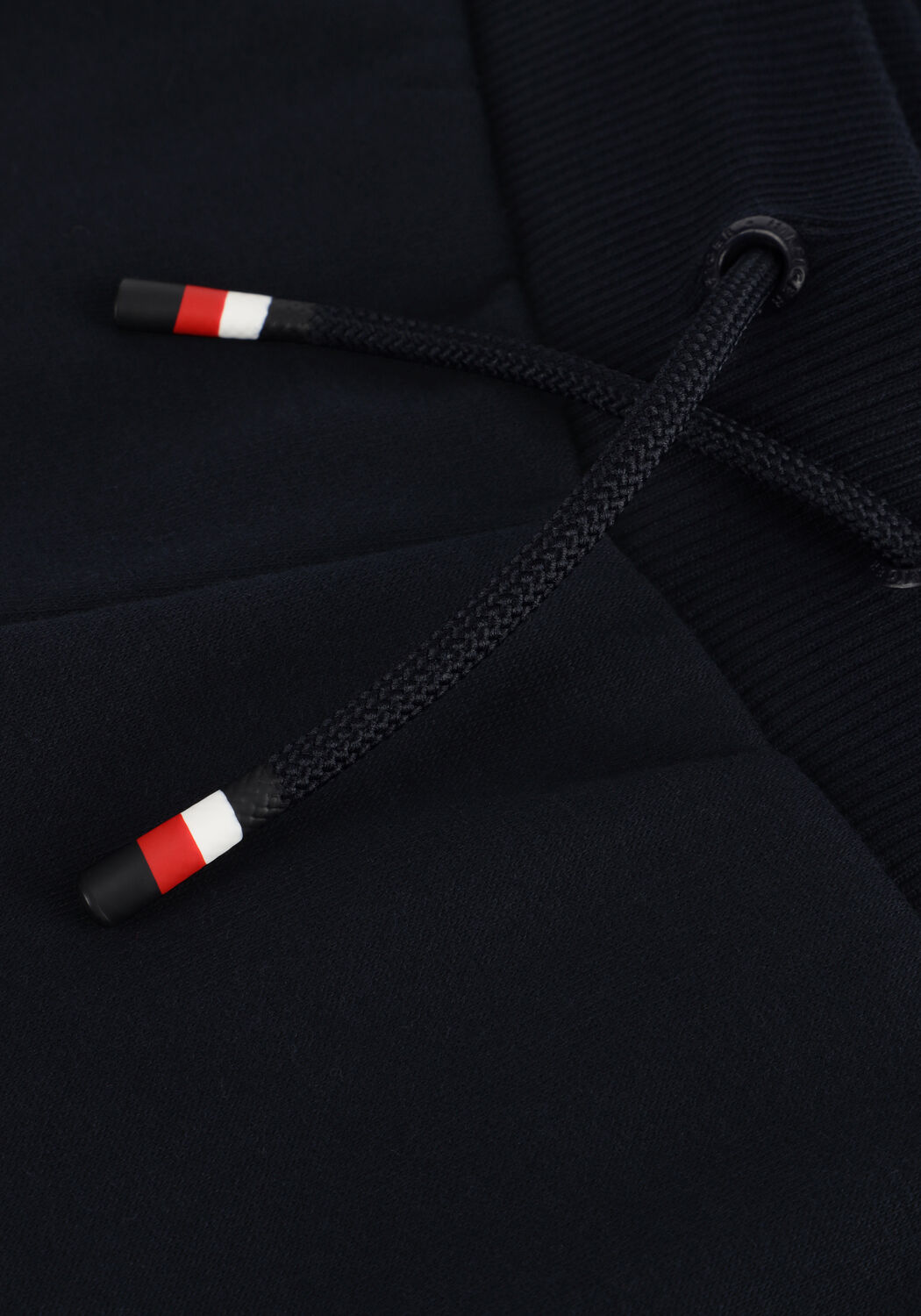 Blaue TOMMY HILFIGER Jogginghose MONOTYPE FLEECE REG CARGO SWEATP - large