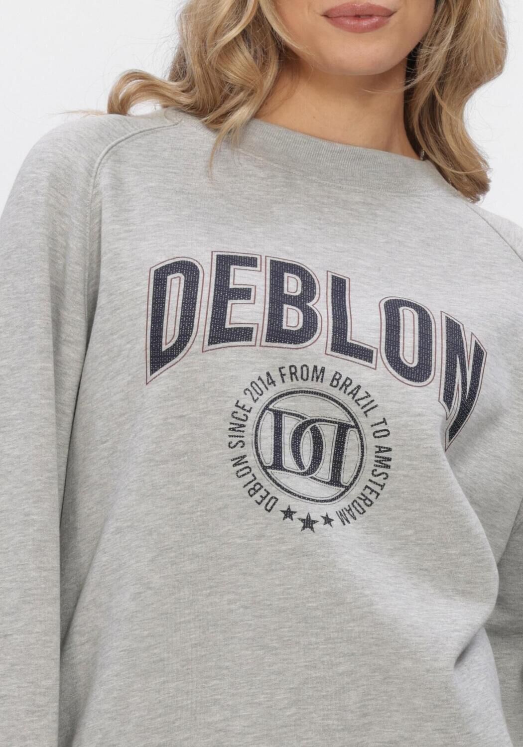 Graue DEBLON SPORTS Sweatshirt VIVE SWEATER - large