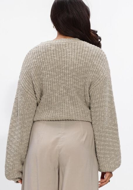 Graue WITHBLACK Pullover & Cardigans WBLSELENA LS PULLOVER - large