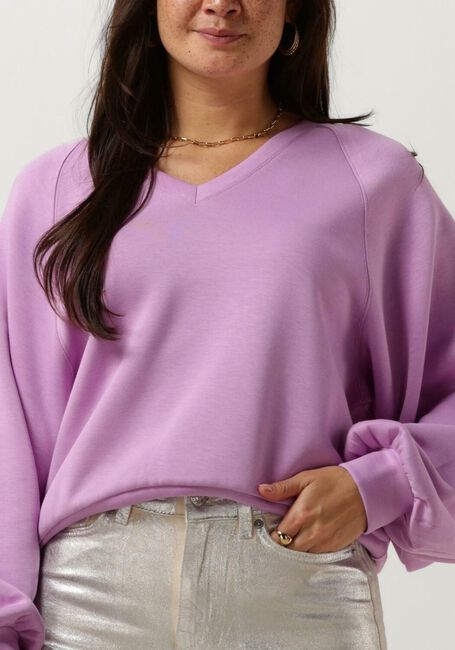 Lilane MSCH COPENHAGEN Pullover MSCHNELINA IMA Q RAGLAN SWEATSHIRT - large