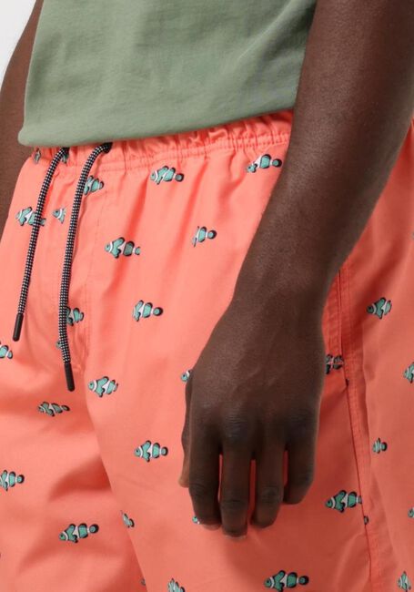 Orangene SHIWI Badehosen MEN SWIMSHORT CLOWNFISH - large