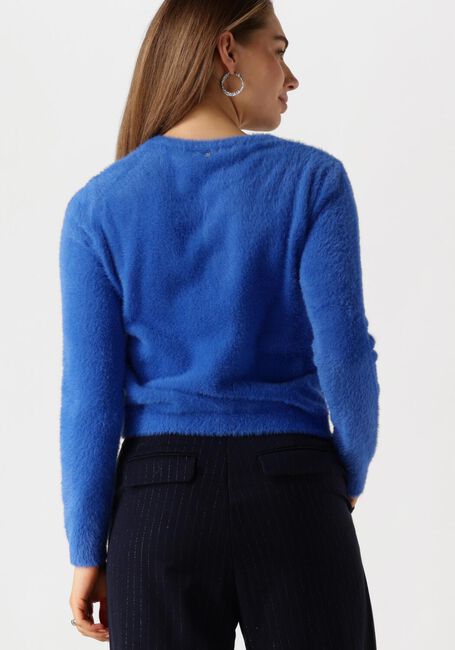 Blaue FABIENNE CHAPOT Strickjacke KATE CARDIGAN - large