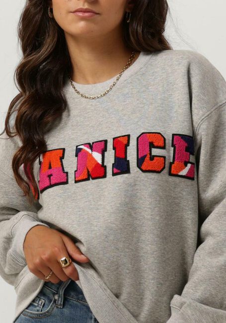 Graue JANICE Pullover SWEATER DAMES ANDY LOGO - large