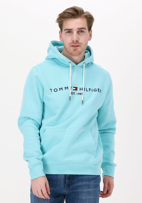 Hellblau TOMMY HILFIGER Sweatshirt TOMMY LOGO HOODY - large