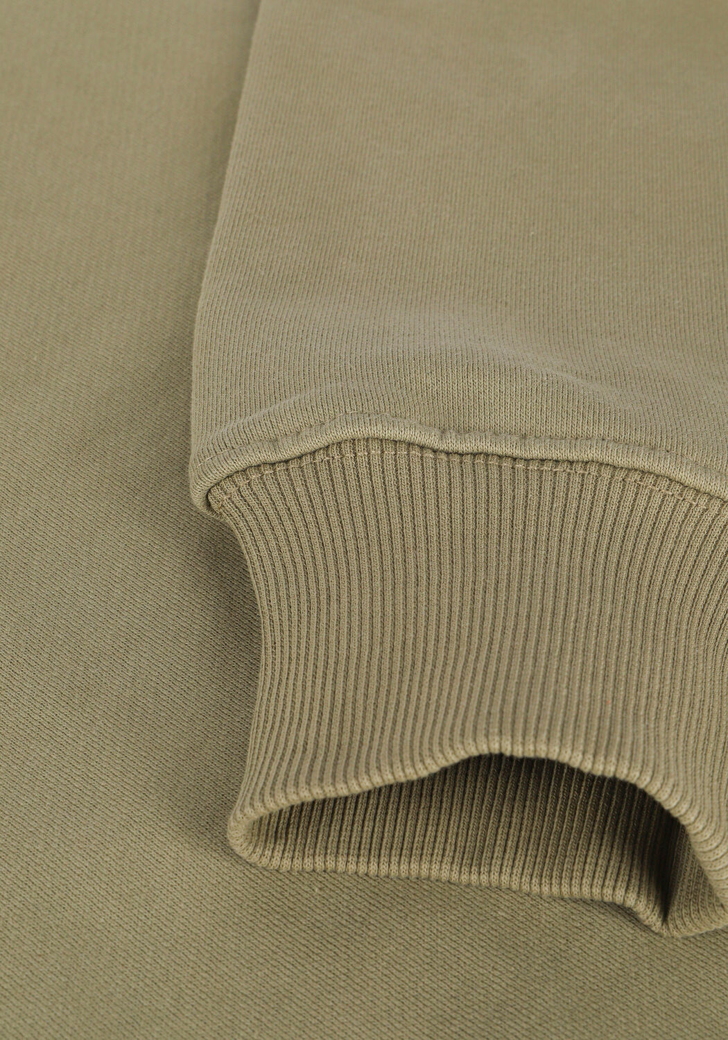 Gr&uuml;ne COLOURFUL REBEL Sweatshirt RBL AMS BIG EMBRO BASIC SWEAT - large