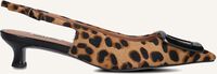 Cognacfarbene BIBI LOU Slingbacks 613 - medium