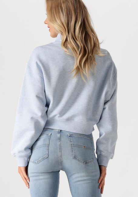 Hellblau TOMMY JEANS Pullover TJW BXY CRP BADGE 1/4ZIP - large