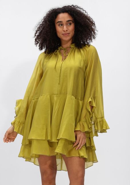 Gr&uuml;ne DEVOTION Kleider SHEEN - large