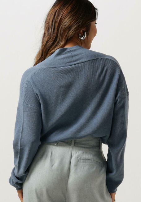Blaue ANOTHER LABEL Pullover LEN KNITTED PULL L/S - large