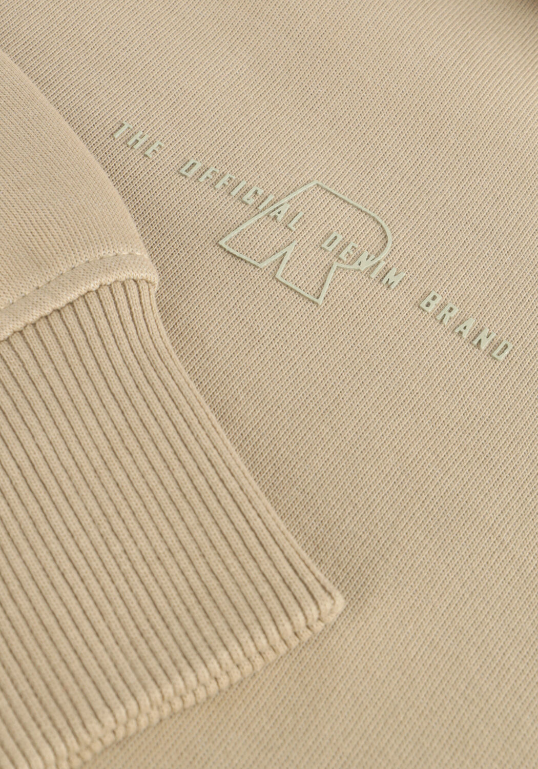 Taupe RAIZZED Pullover & Cardigans EUGENE - large