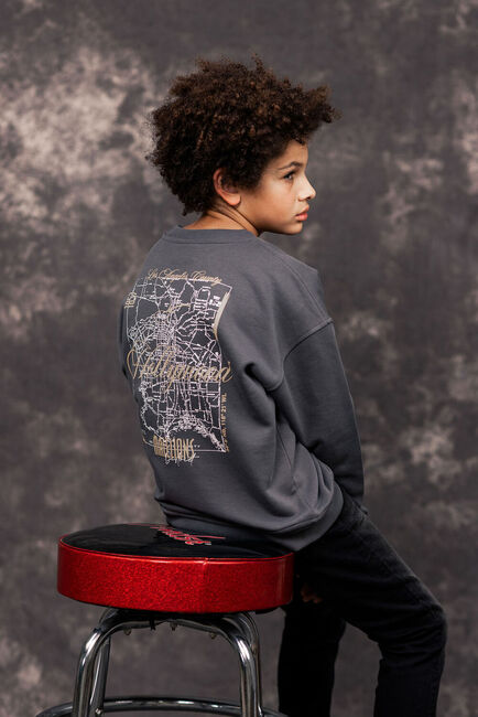 Dunkelgrau MALELIONS Pullover HOLLYWOOD MAP SWEATER - large