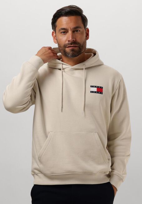 Beige TOMMY JEANS Pullover & Cardigans TJM REG ESSENTIAL FLAG HOOD EXT - large